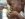 Fundacja Africa Help